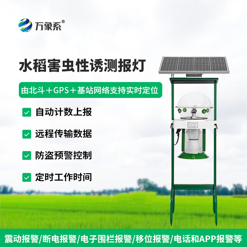 水稻田性诱测报灯