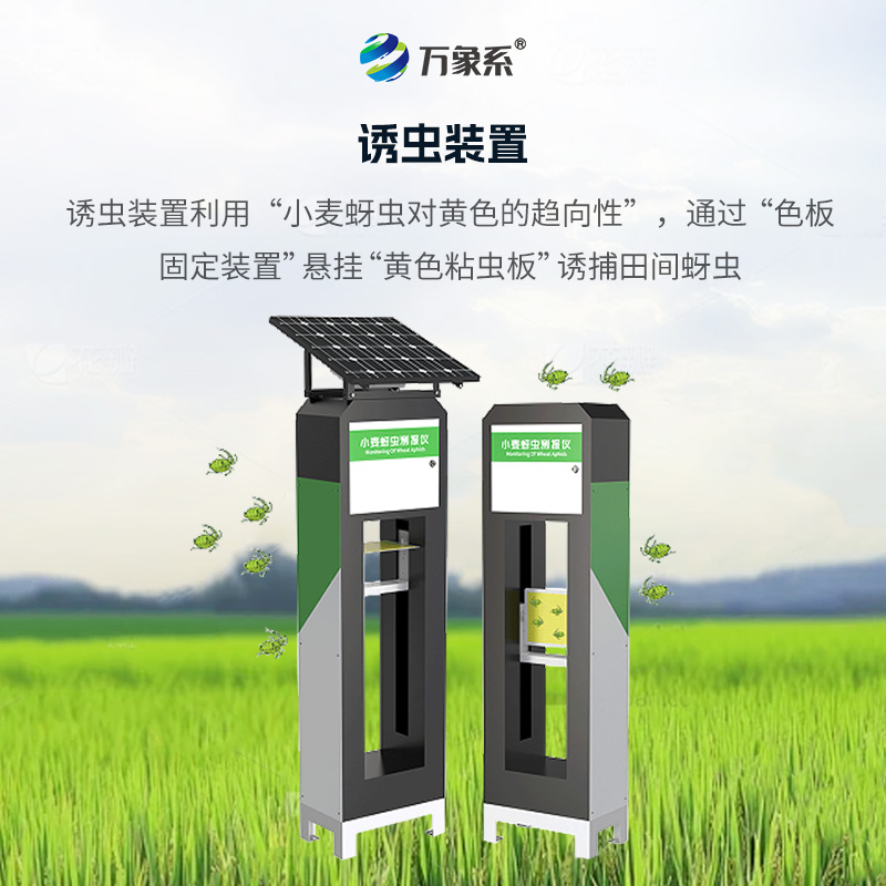 小麦蚜虫测报仪