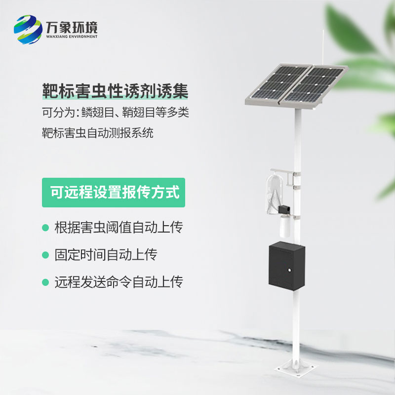 红外性诱测报仪