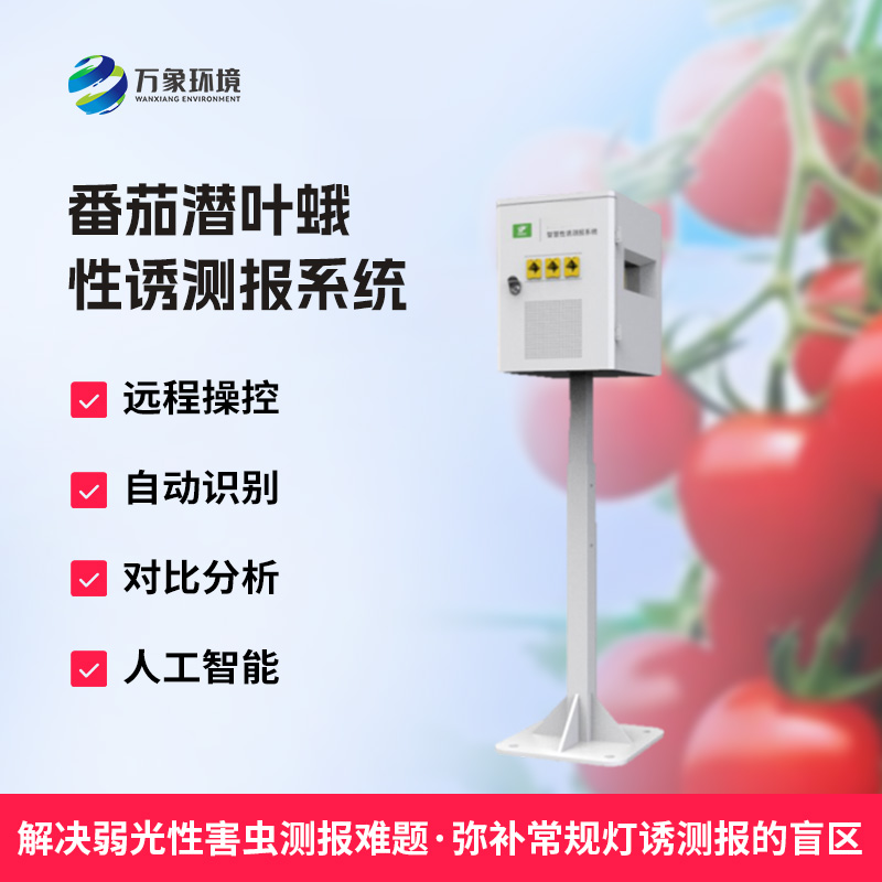 番茄潜叶蛾性诱测报系统